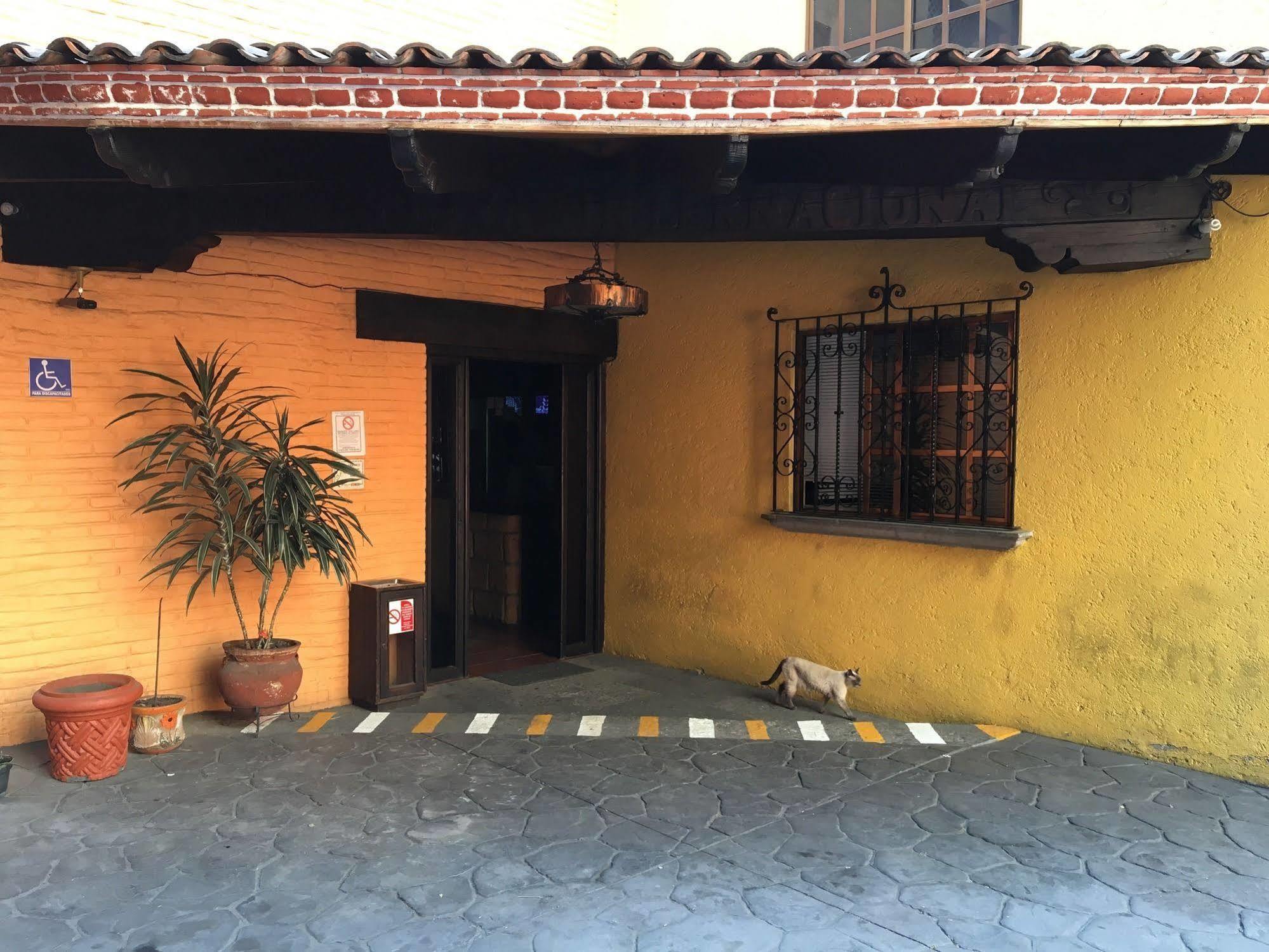 Hotel Playa Internacional Meksika Dış mekan fotoğraf